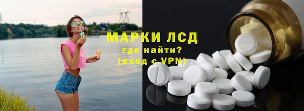 шишки Абаза