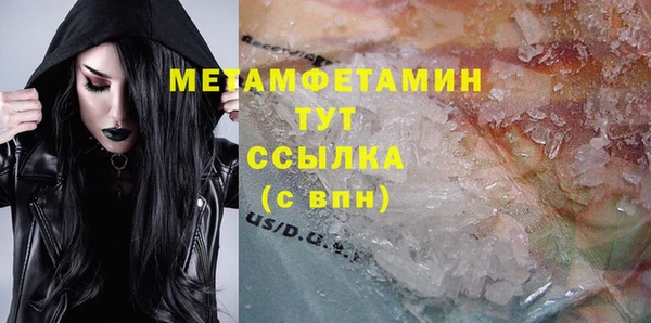 шишки Абаза