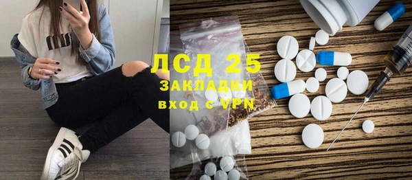 шишки Абаза
