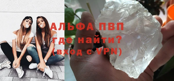 шишки Абаза
