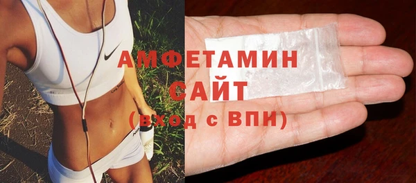 шишки Абаза