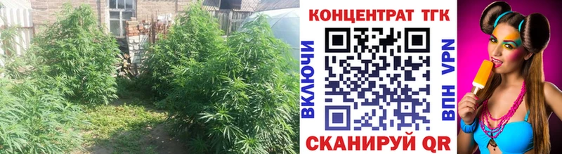 Дистиллят ТГК THC oil  Беломорск 