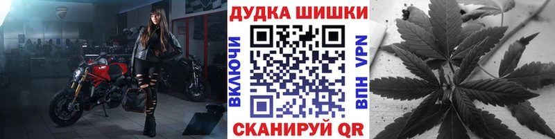 где купить наркоту  Беломорск  Марихуана сатива 